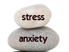 2 rocks with stress and anxiety printed on them